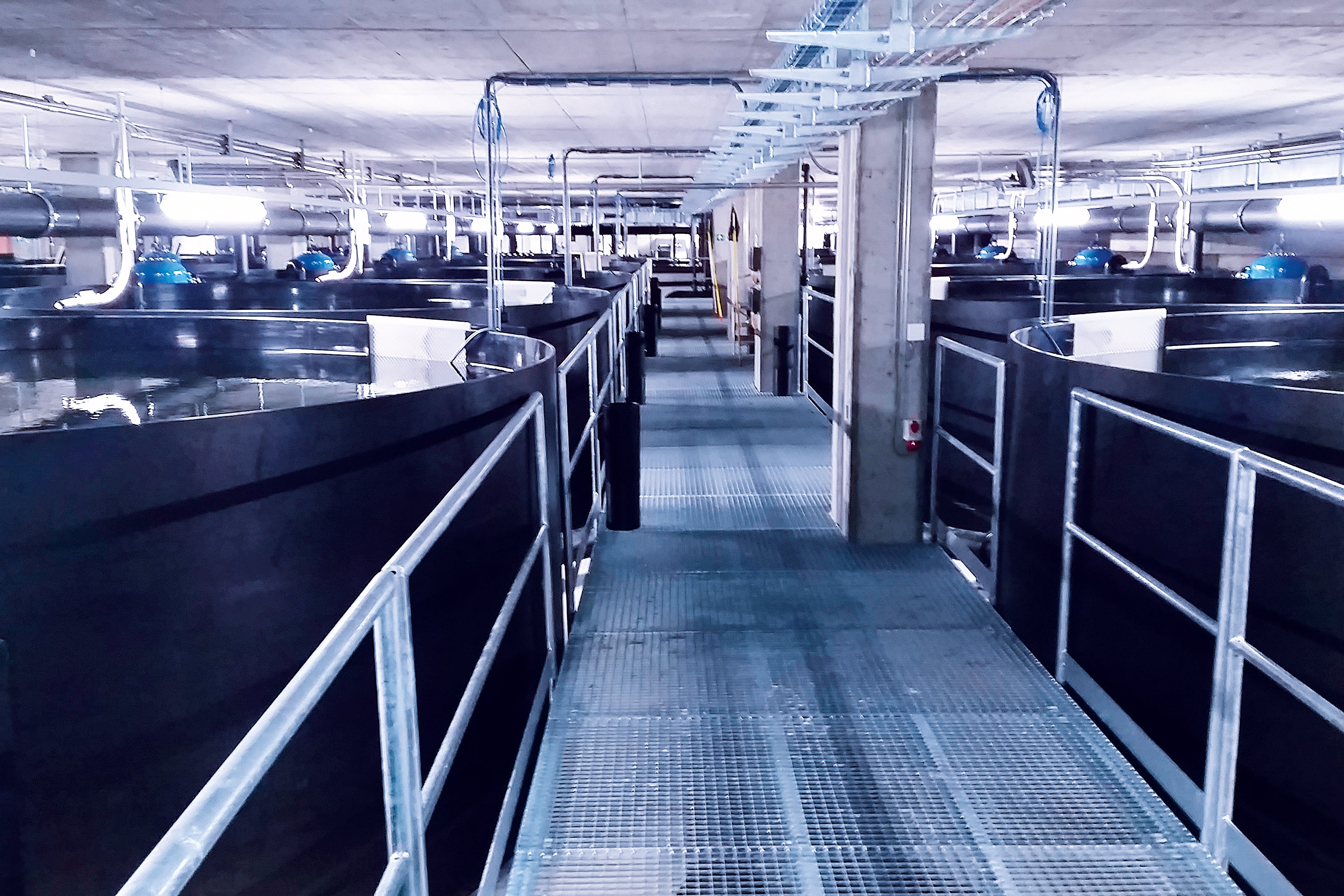 Hållbara vattenbrukssystem för fiskodling, skaldjursodling och produktion av vattenväxter – Colasit