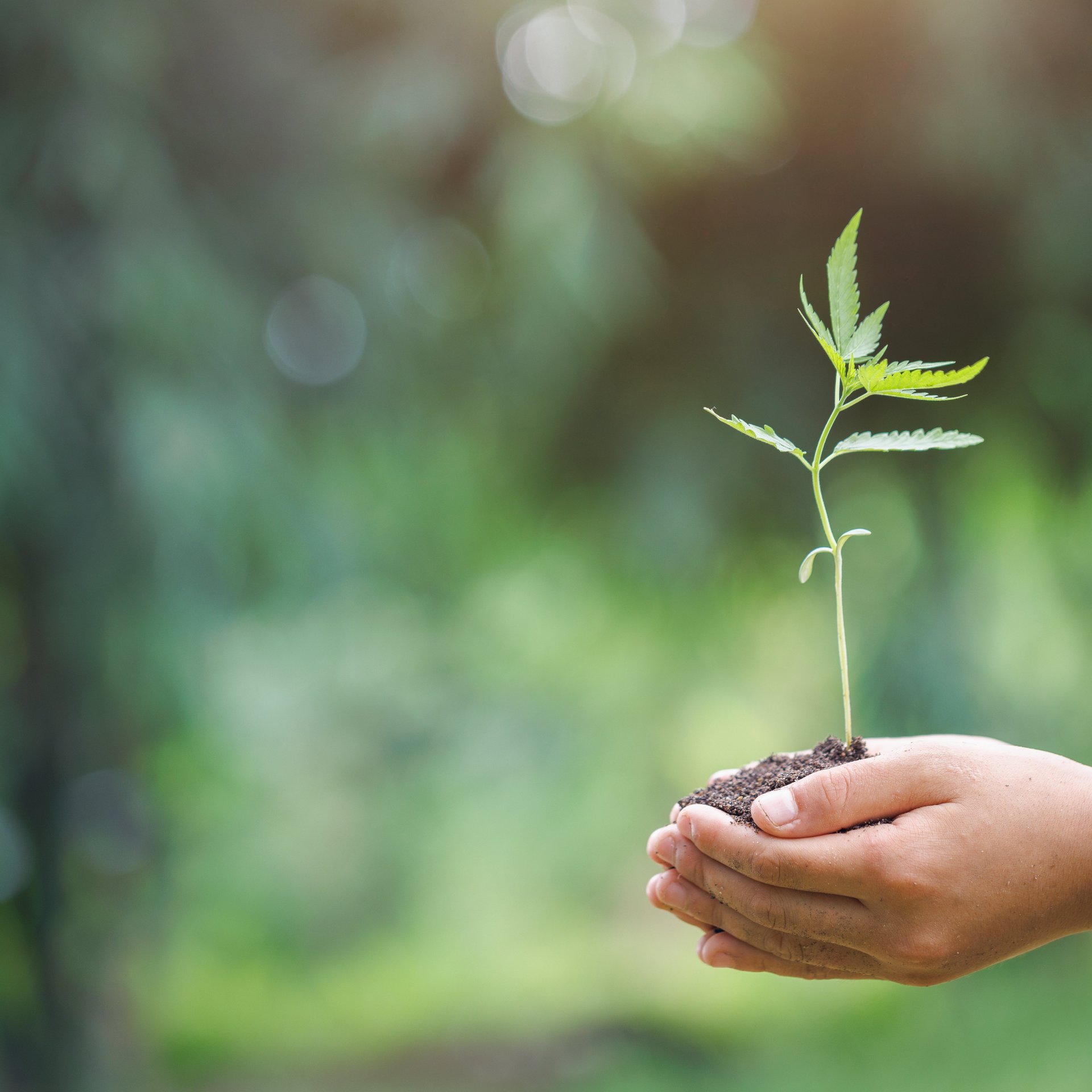 Hållbarhetsstrategi för produktion och klimatskydd – Colasit