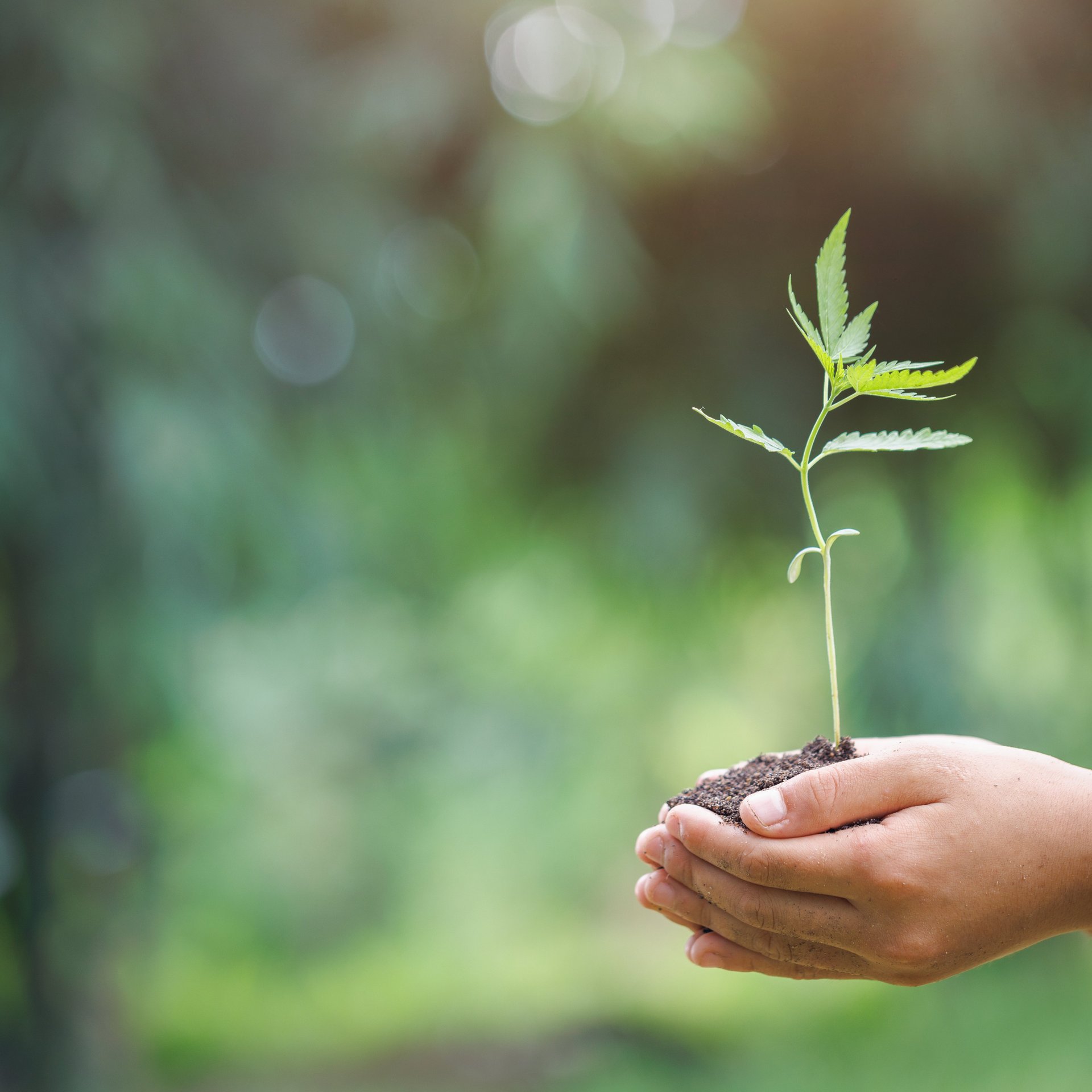 Vi är engagerade i hållbar produktion och klimatskydd – Colasit