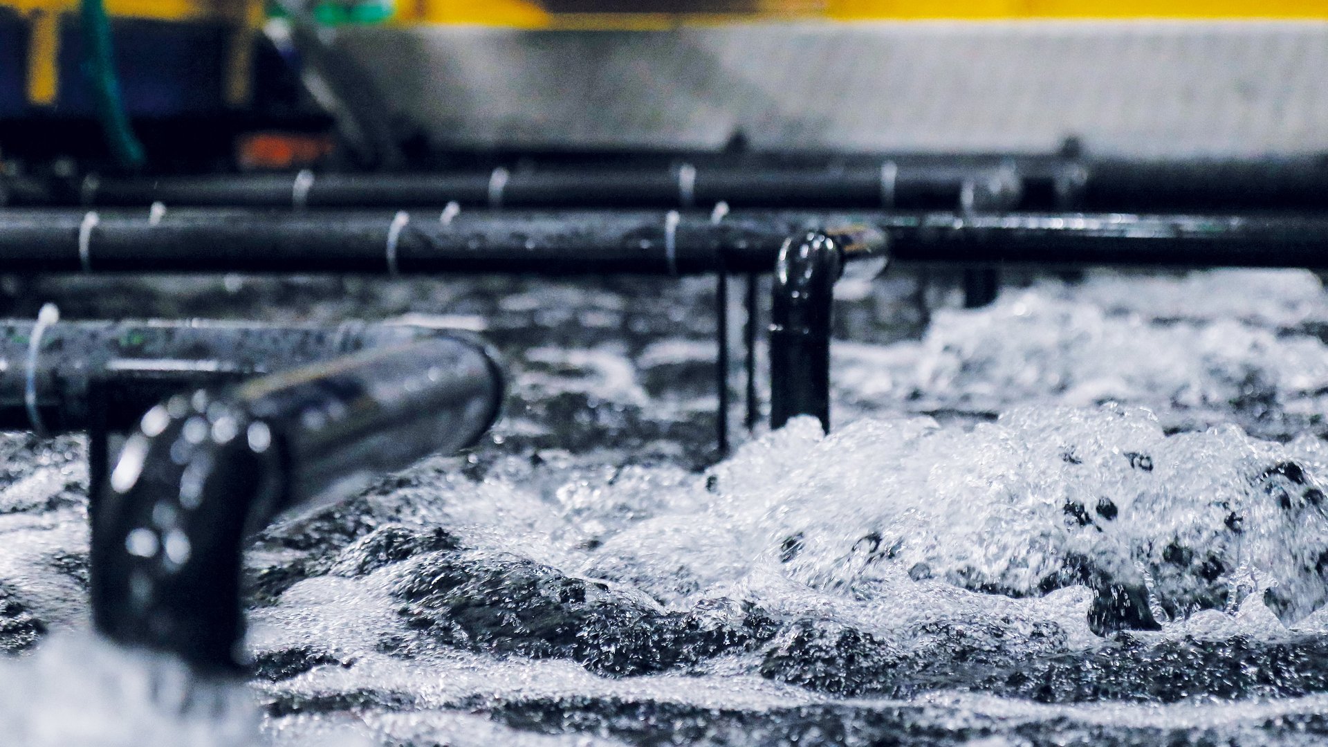 Hållbara vattenbrukssystem för fiskodling, skaldjursodling och produktion av vattenväxter – Colasit