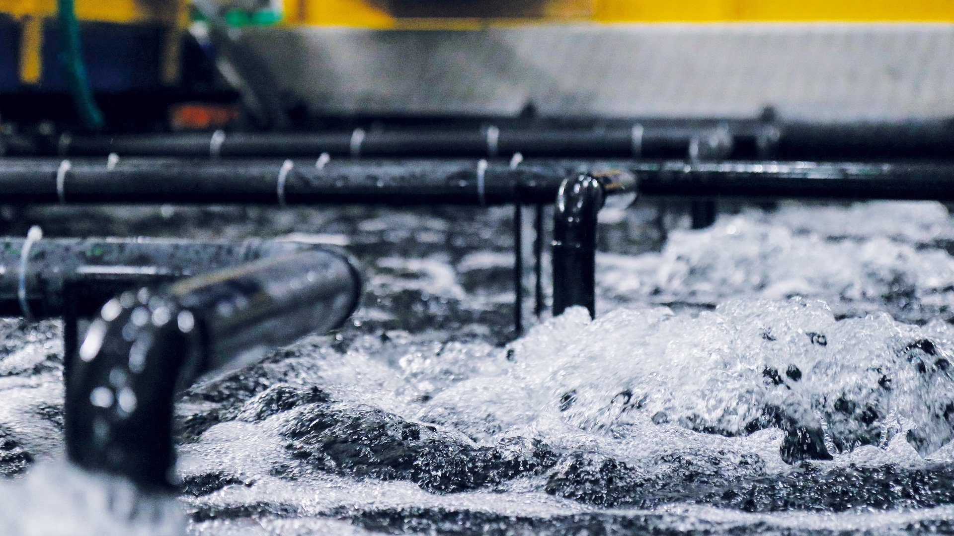 Hållbara vattenbrukssystem för fiskodling, skaldjursodling och produktion av vattenväxter – Colasit